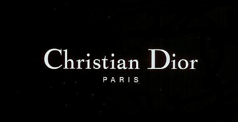christian dior logo bearing